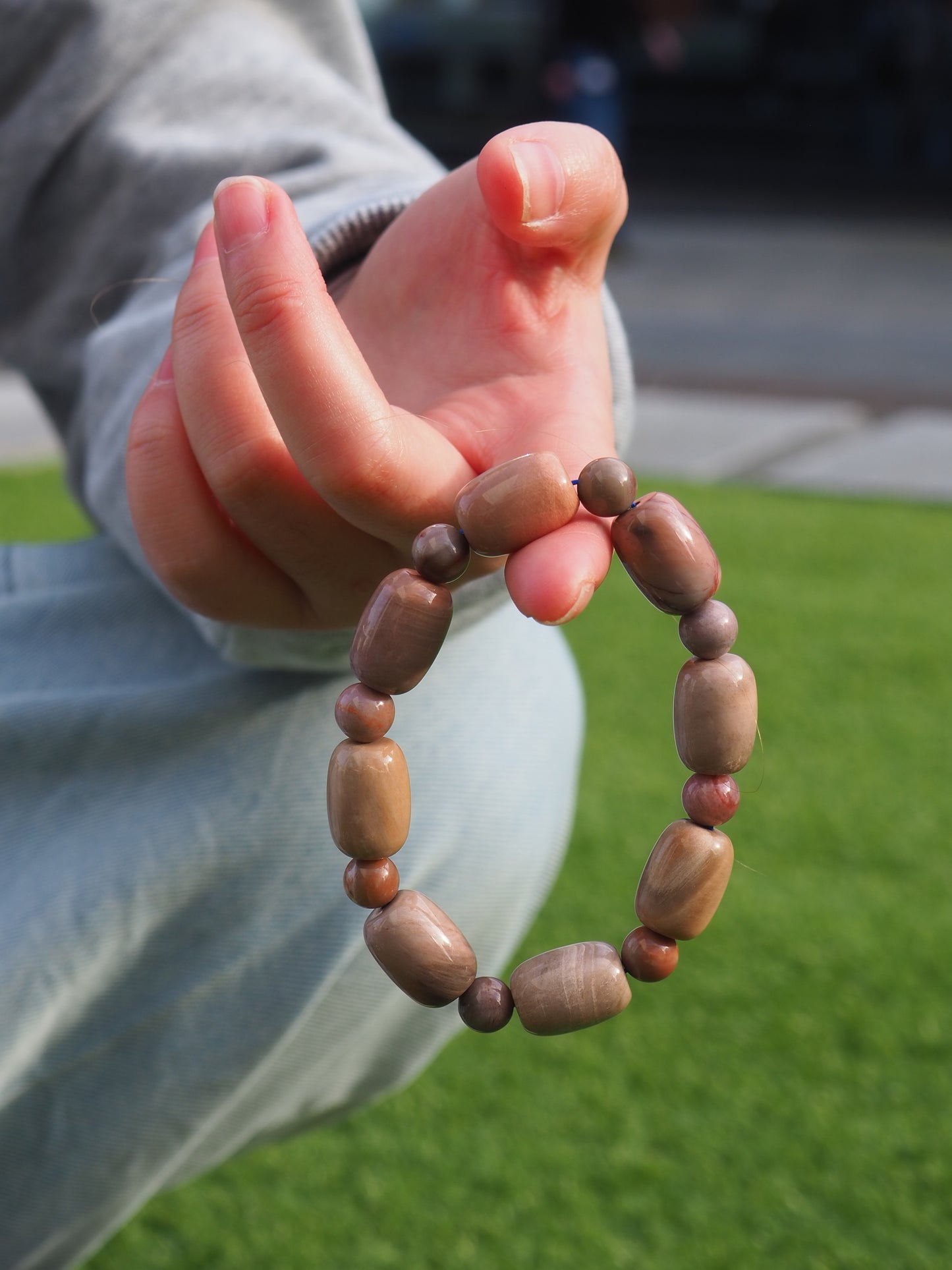 Jupiter Series Petrified Wood Bracelet