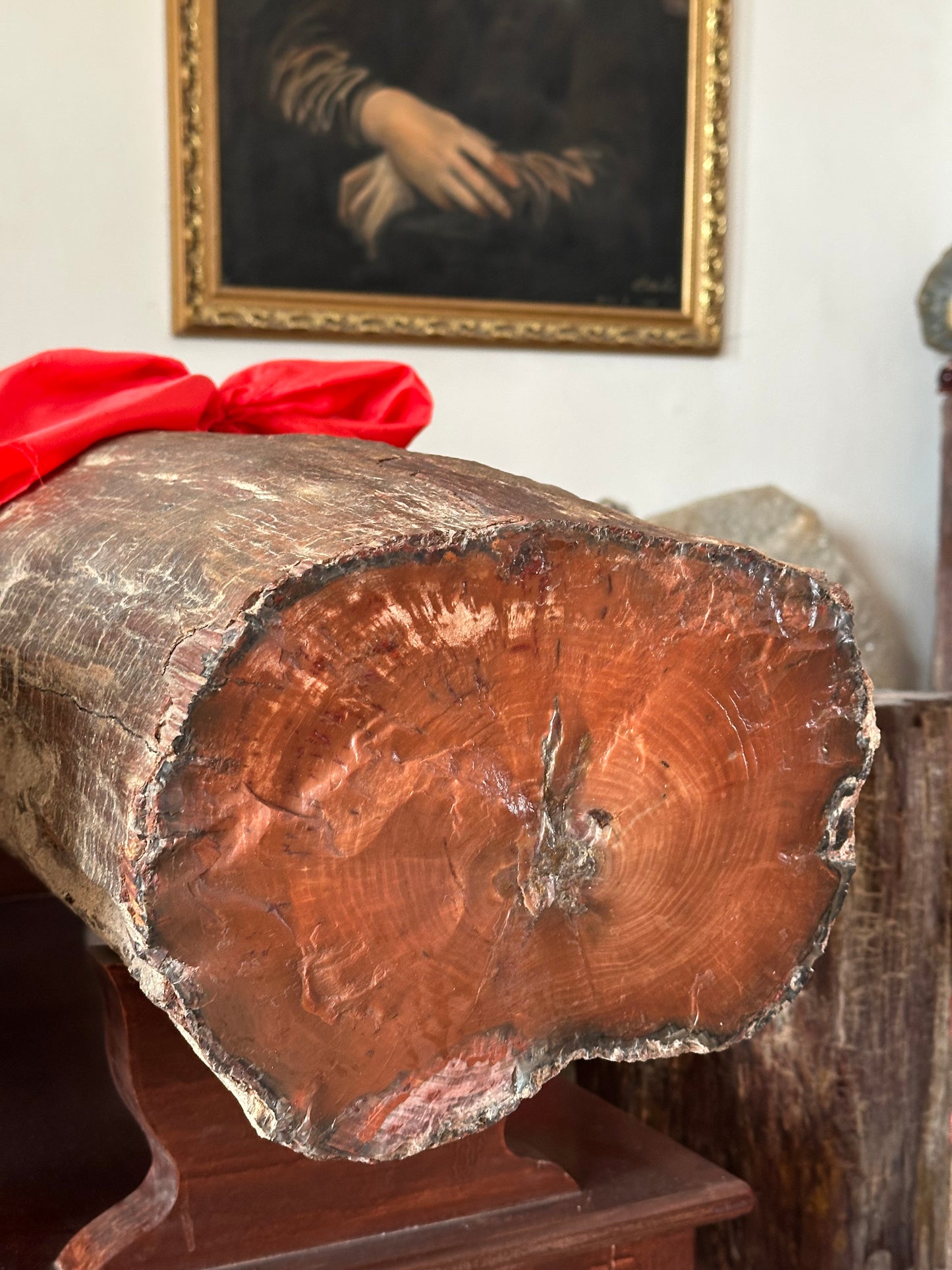 Blood-red Petrified wood Bracelet