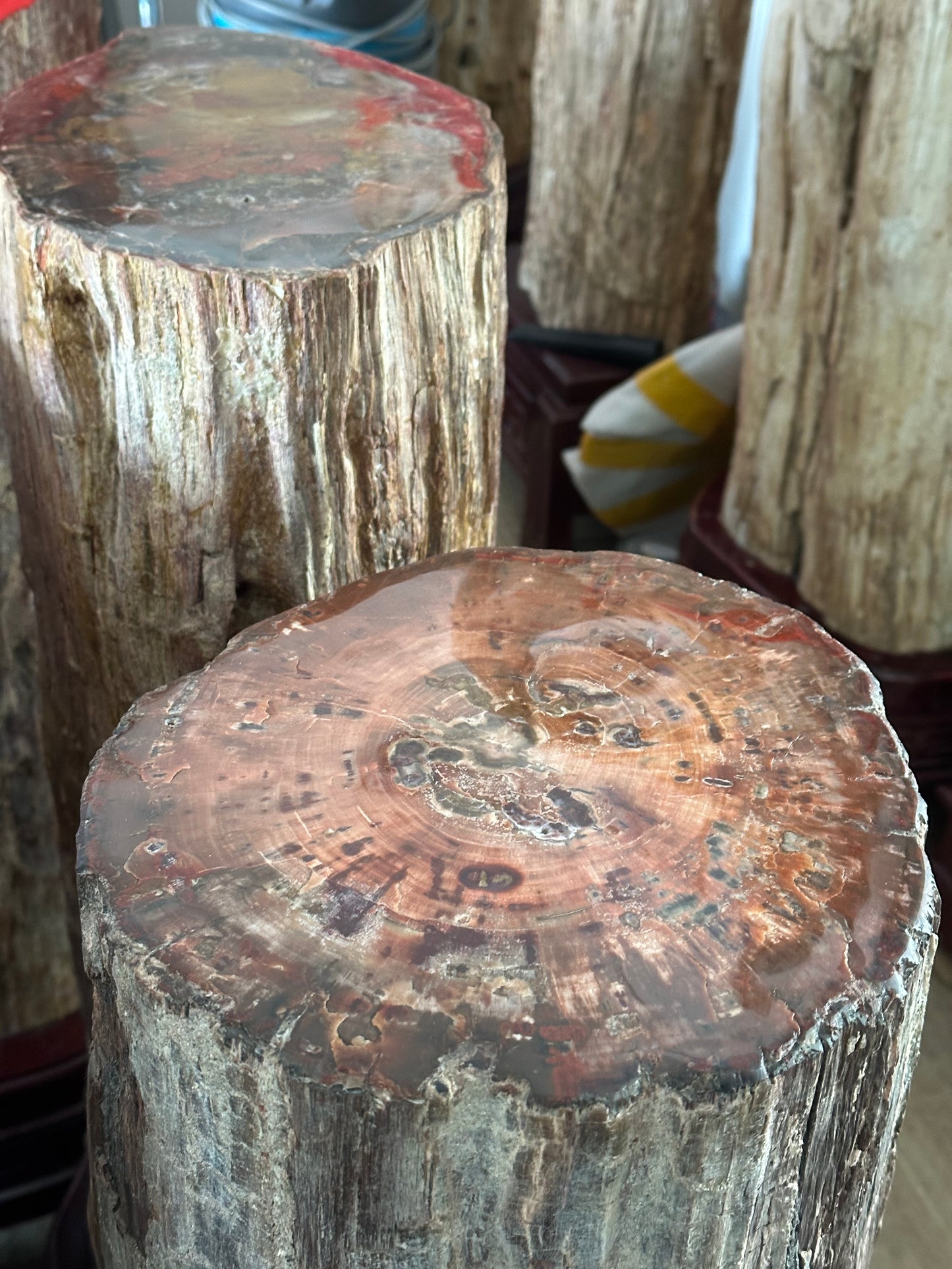 Petrified Wood Chinese Chess Set