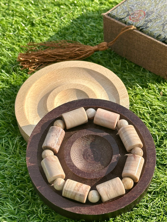 Cylindrical Petrified Wood
